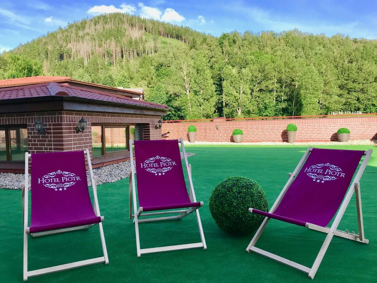 Hotel Piotr Spa&Wellness Богушув-Горце Экстерьер фото